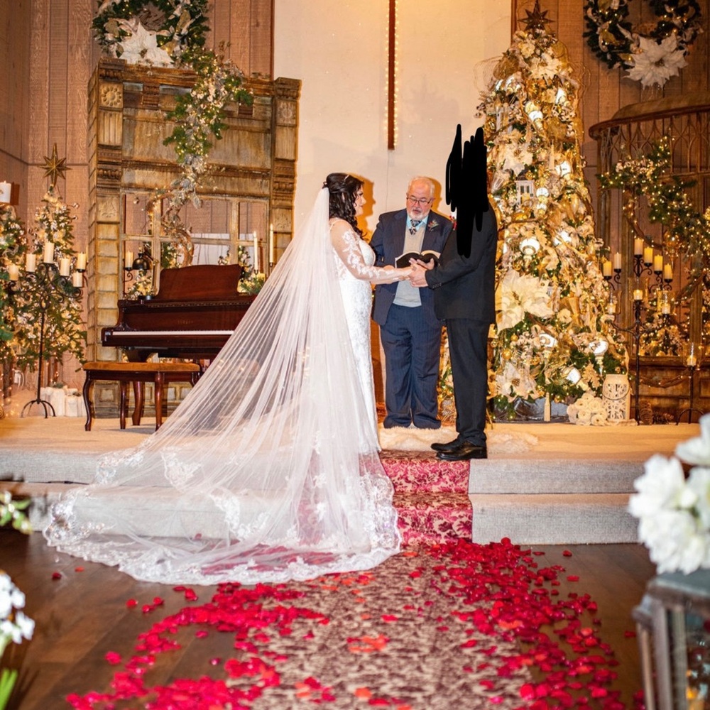 Size 12 Wedding Dress - Picture 3 of 4